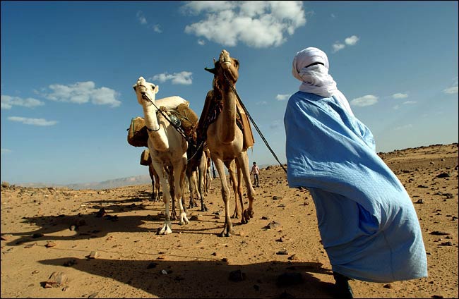 Tuareg